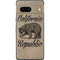 Cali Republic Vintage Pixel Skins
